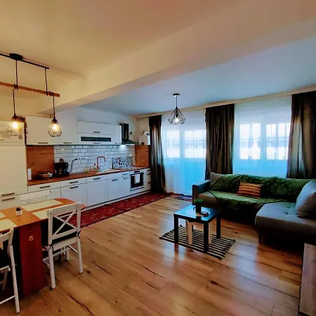 River Side Apartment With Terrace Floresti  Exterior photo